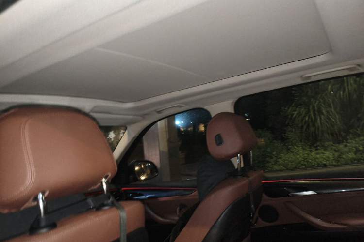 Used BMW X5  Headliner