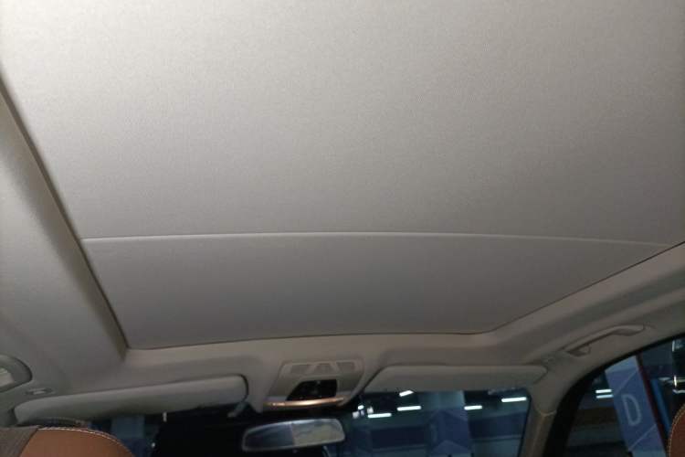 Used BMW X5  Headliner