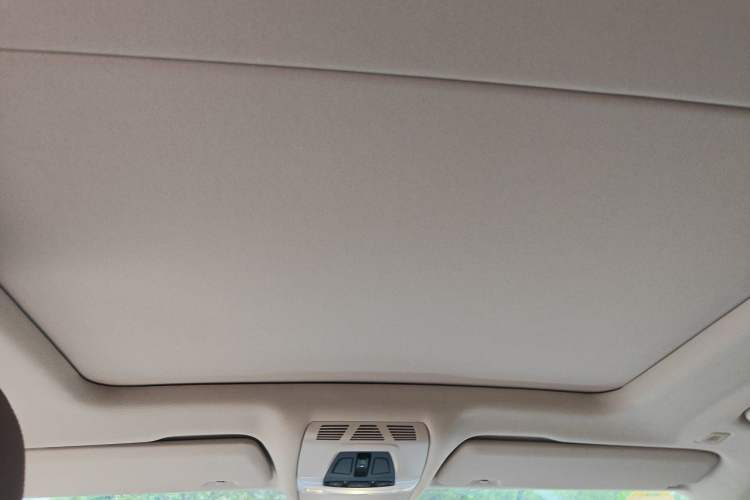 Used BMW X5  Headliner