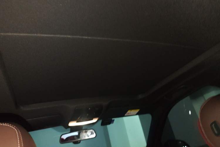 Used BMW X5  Headliner