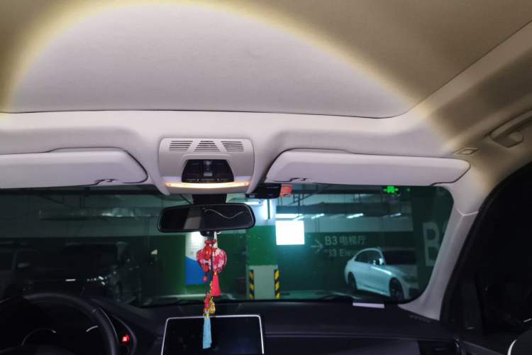 Used BMW X5  Headliner