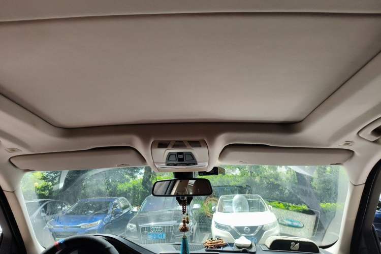 Used BMW X5  Headliner