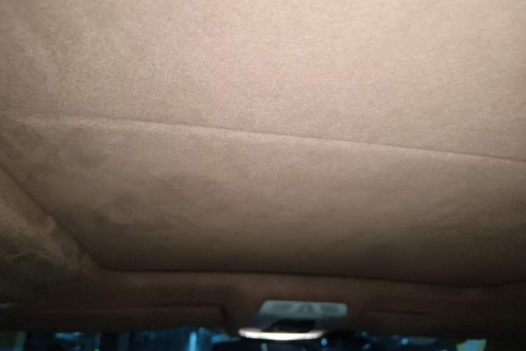 Used BMW X5 2017 xDrive35i Elegant Edition Headliner
