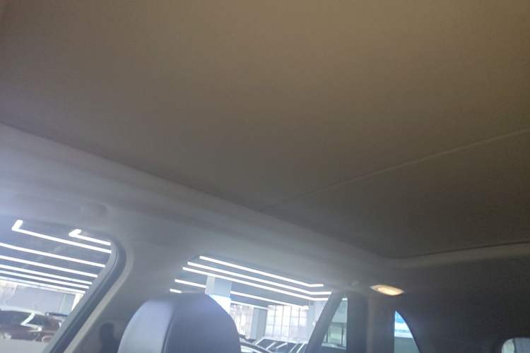 Used BMW X5 2017 xDrive28i Headliner