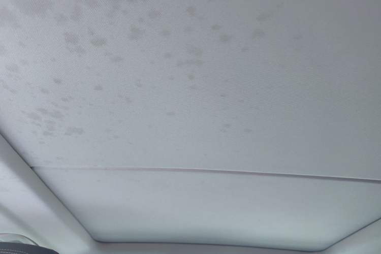 Used BMW X5  Headliner