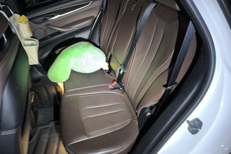 Used BMW X5 2017 xDrive35i M Sport Edition Left Rear Seat