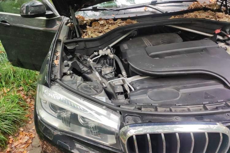 Used BMW X5 2018 xDrive28i Engine Bay Right