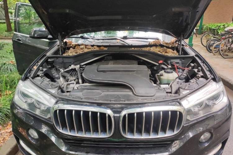 Used BMW X5 2018 xDrive28i Engine Bay