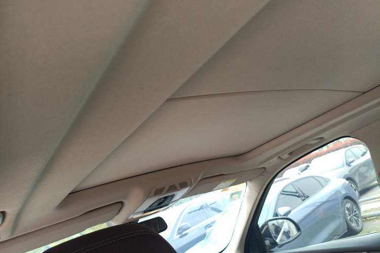 Used BMW X5 2018 xDrive28i Headliner