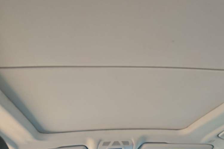 Used BMW X5 2018 xDrive35i Elegant Edition Headliner