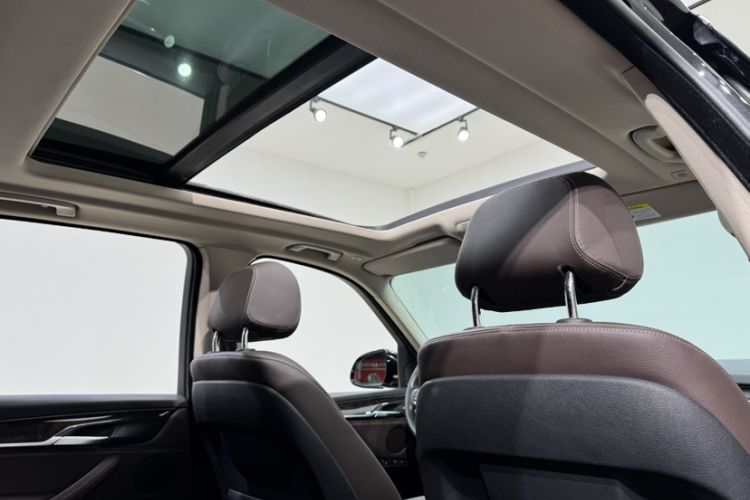 Used BMW X5 2018 xDrive35i Elegant Edition Headliner
