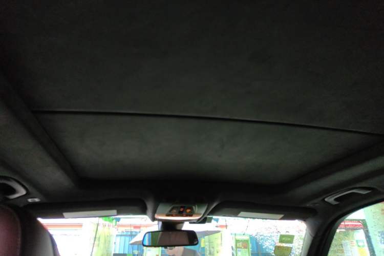 Used BMW X5  Headliner