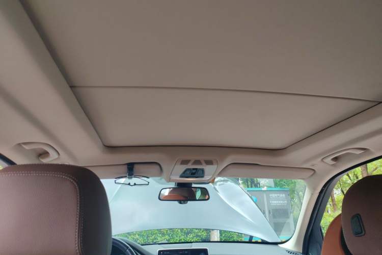 Used BMW X5  Headliner