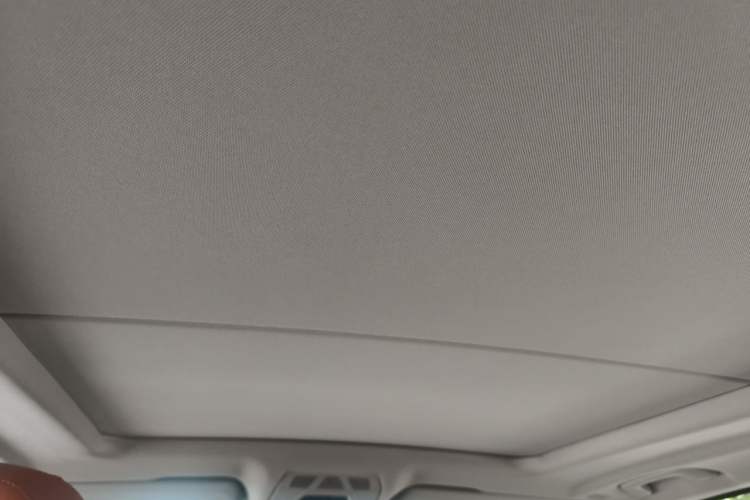 Used BMW X5  Headliner