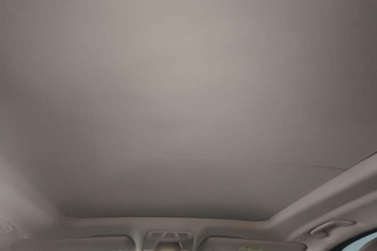 Used BMW X5 2018 xDrive28i Headliner