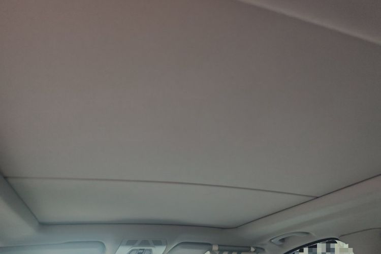 Used BMW X5 2018 xDrive35i Elegant Edition Headliner