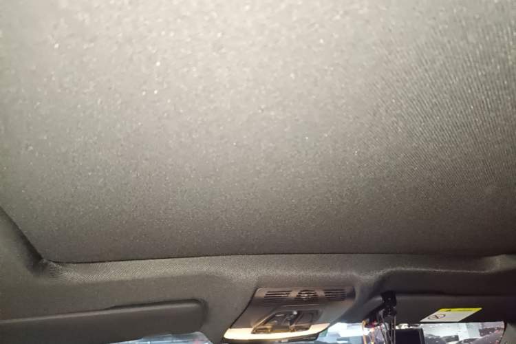 Used BMW X5 2018 xDrive35i M Sport Luxury Edition Headliner