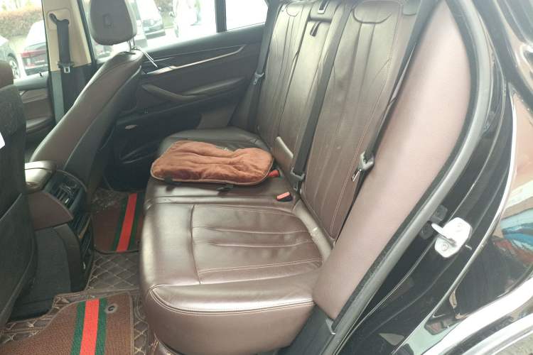 Used BMW X5 2018 xDrive28i Left Rear Seat