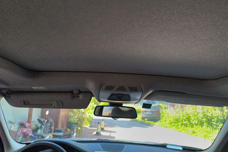 Used BMW X5  Headliner