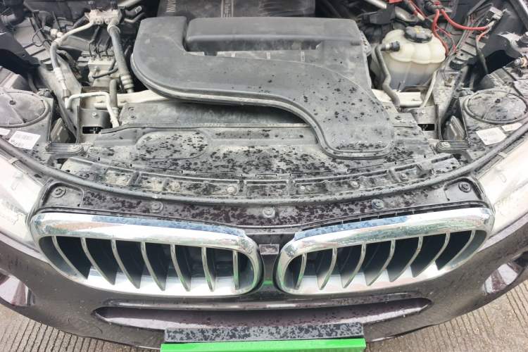 Used BMW X5 2018 xDrive28i Engine Bay