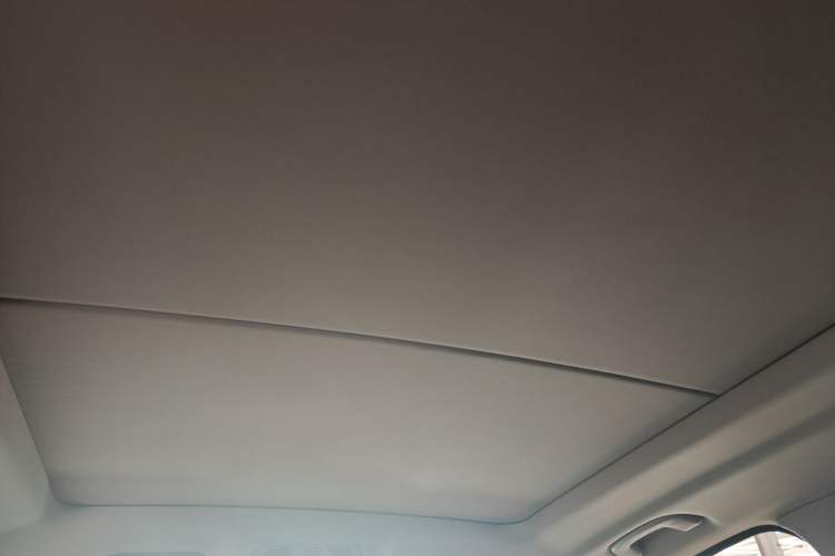 Used BMW X5  Headliner