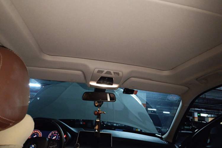 Used BMW X5  Headliner