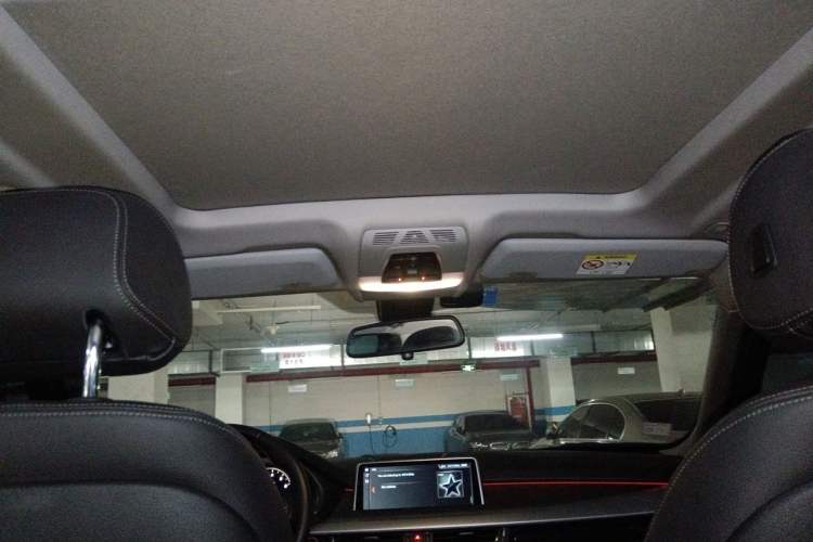 Used BMW X5  Headliner