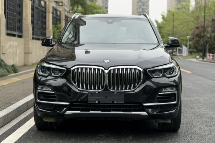 Used BMW X5 2019 xDrive30i X Design Package Exterior 1