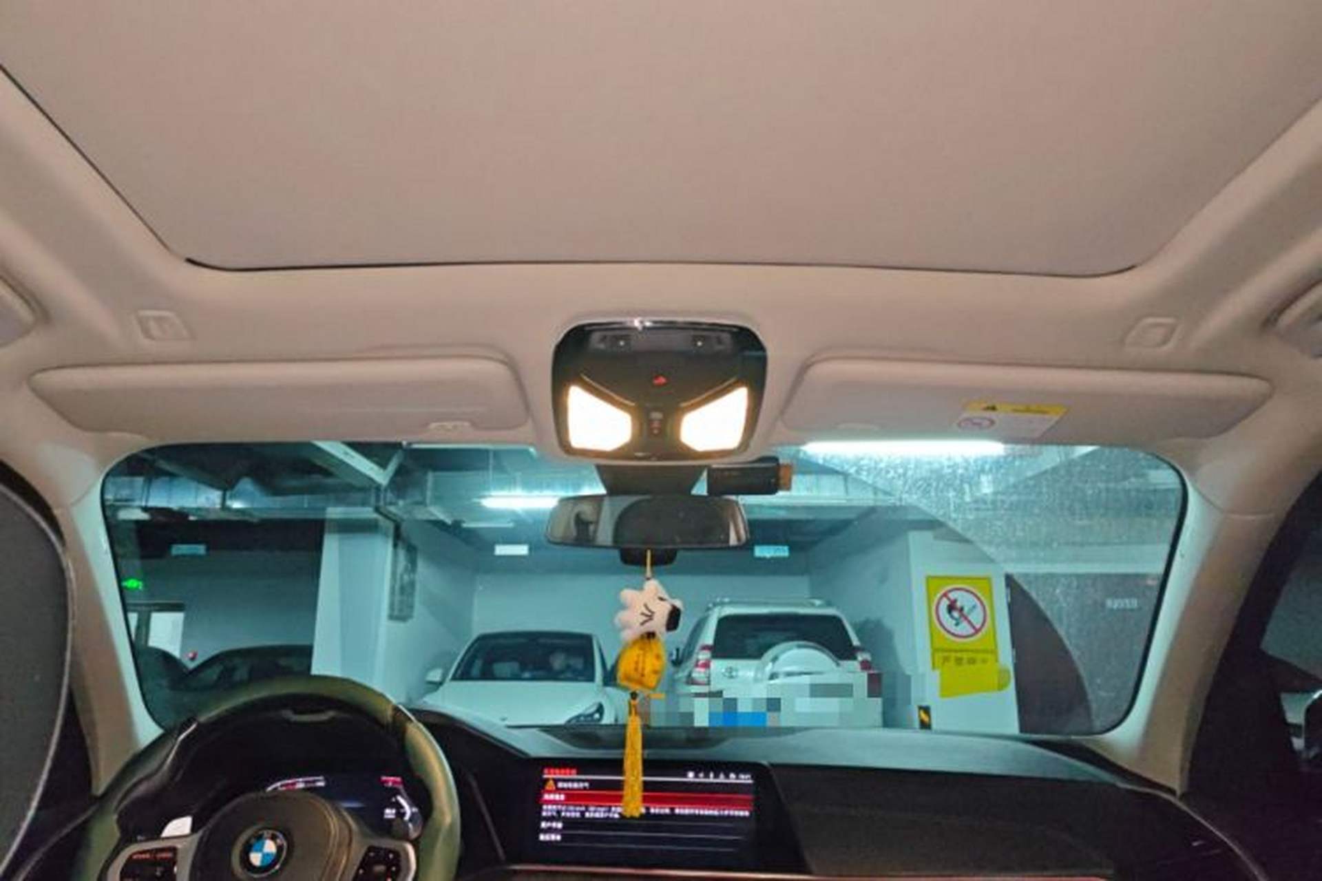Used BMW X5 2019 xDrive40i M Sport Package Headliner