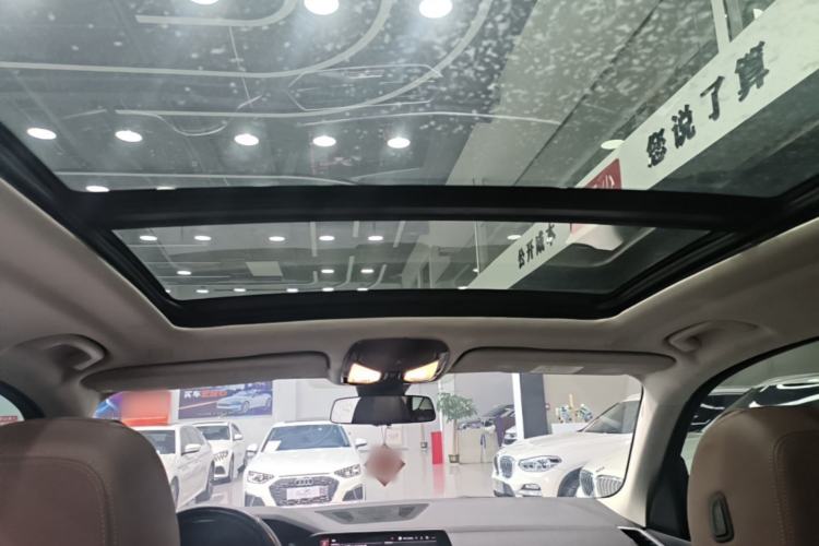 Used BMW X5 2019 xDrive40i M Sport Package Headliner