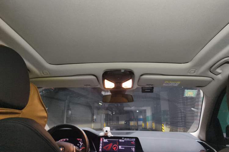 Used BMW X5  Headliner