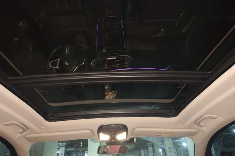 Used BMW X5 2019 xDrive40i M Sport Package Headliner