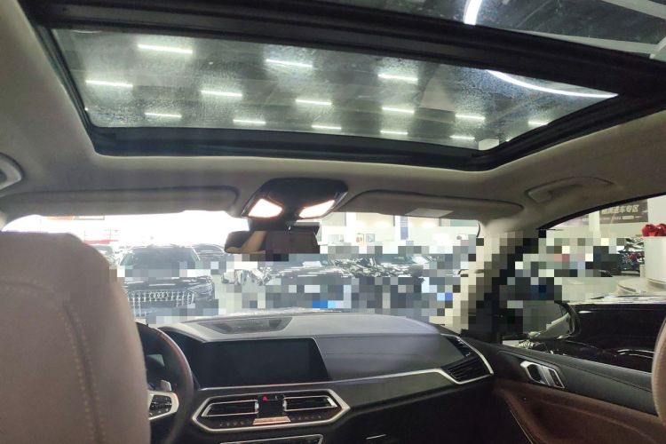 Used BMW X5 2019 xDrive40i M Sport Package Headliner