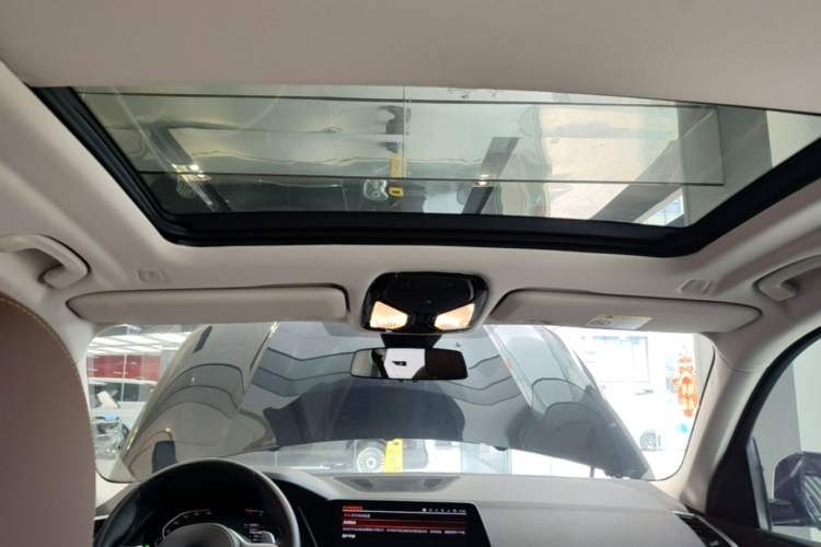Used BMW X5 2019 xDrive40i M Sport Package Headliner