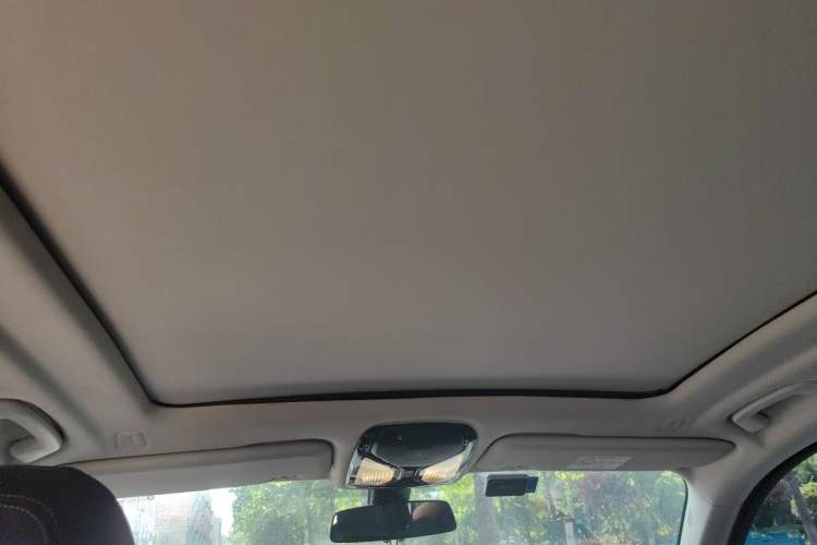 Used BMW X5  Headliner