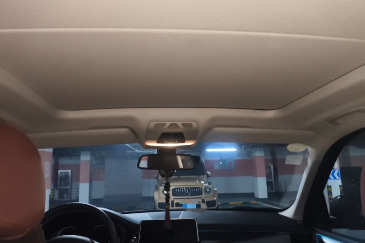 Used BMW X5  Headliner