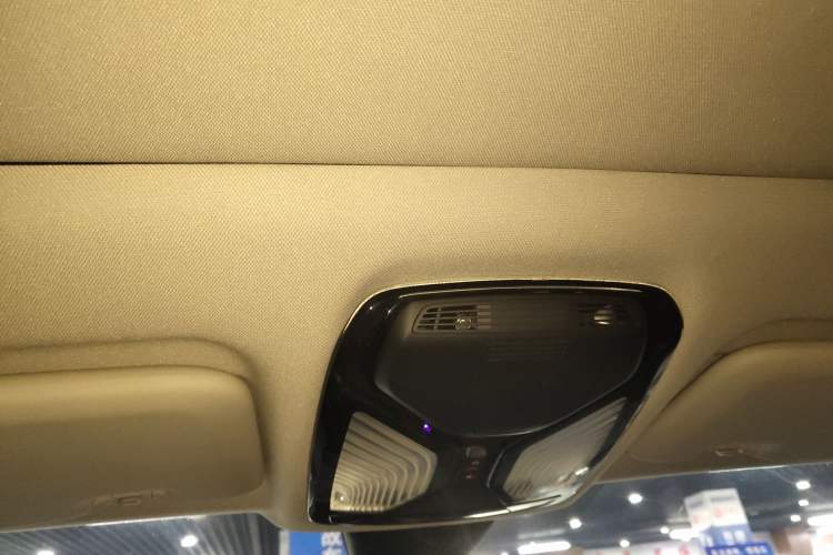 Used BMW X5 2019 xDrive40i M Sport U.S. specification Headliner
