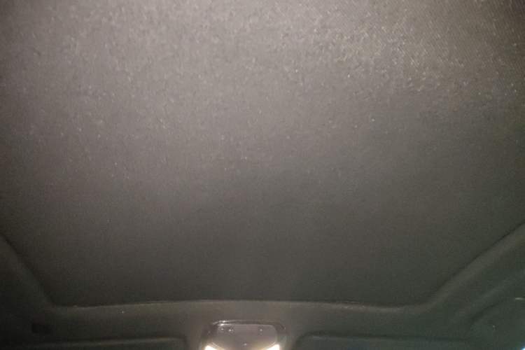 Used BMW X5  Headliner