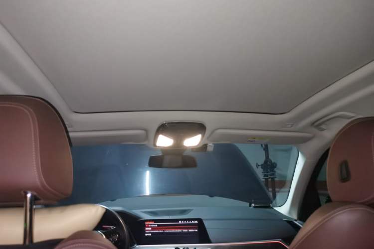 Used BMW X5 2019 xDrive30i X Design Package Headliner