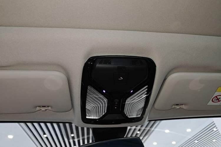 Used BMW X5 2019 xDrive40i M Sport Package Headliner