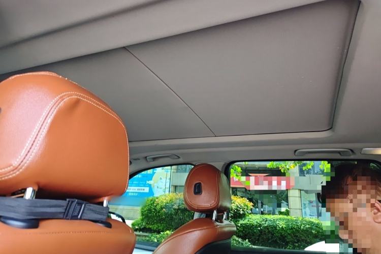 Used BMW X5  Headliner