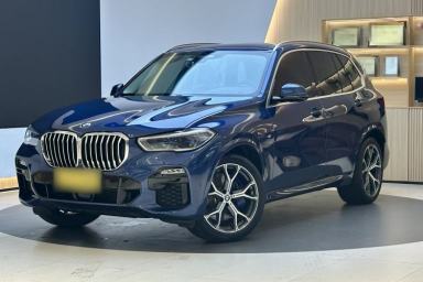 Used BMW X5 2019 xDrive40i Luxury Model with M Sport Package