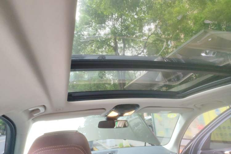 Used BMW X5 2019 xDrive30i X Design Package Headliner