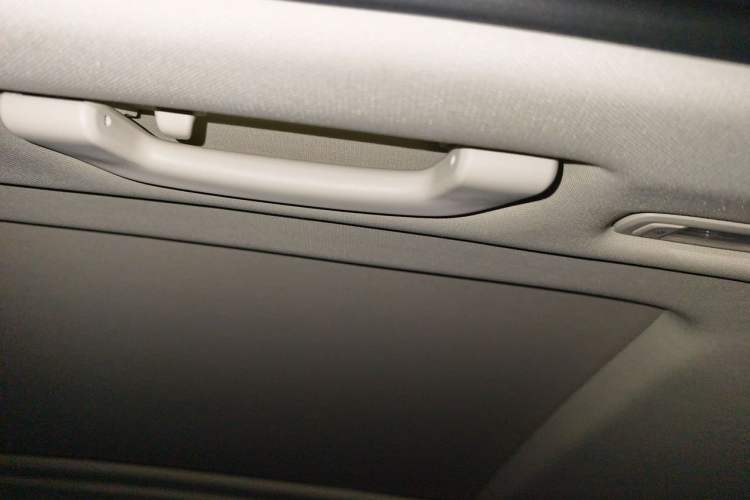 Used BMW X5 2019 xDrive30i X Design Package Headliner