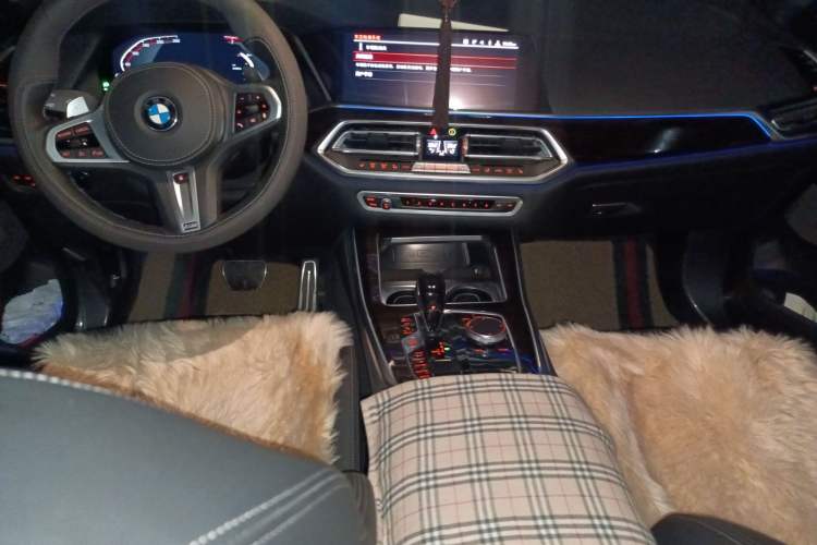 Used BMW X5  Center Console