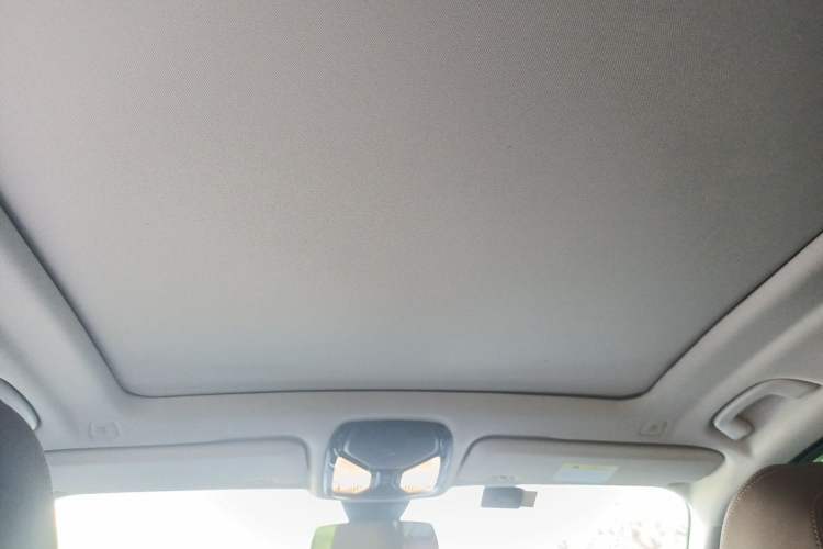 Used BMW X5 2019 xDrive40i M Sport U.S. specification Headliner