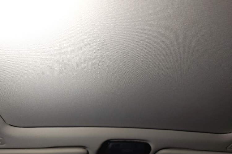 Used BMW X5 2019 xDrive40i M Sport Package Headliner