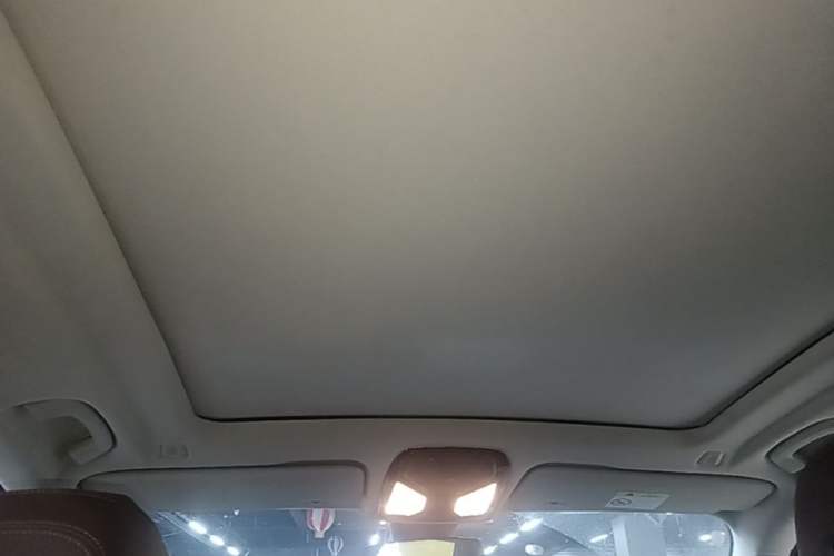 Used BMW X5 2019 xDrive40i M Sport Package Headliner