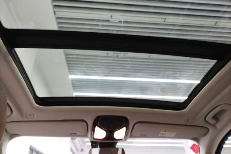 Used BMW X5 2019 xDrive30i X Design Package Headliner