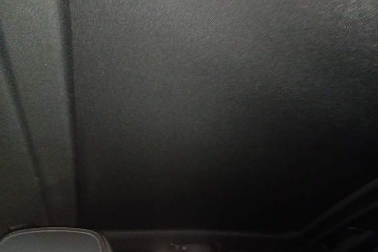 Used BMW X5  Headliner